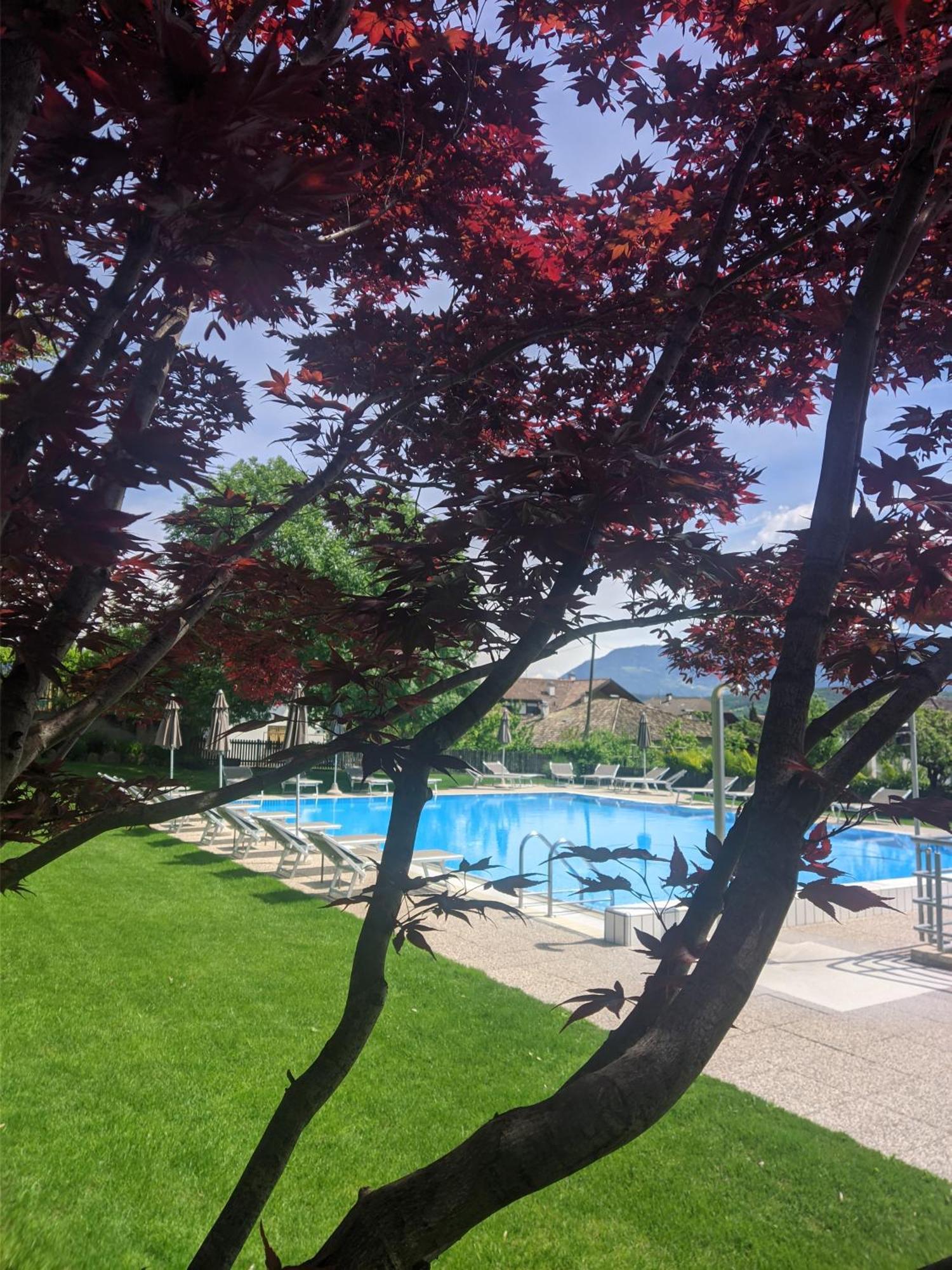 Garni Saltneregg Hotel Caldaro Exterior photo