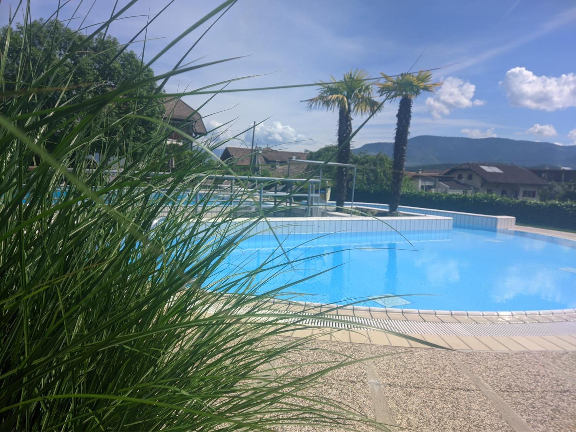 Garni Saltneregg Hotel Caldaro Exterior photo